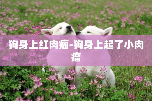 狗身上紅肉瘤-狗身上起了小肉瘤