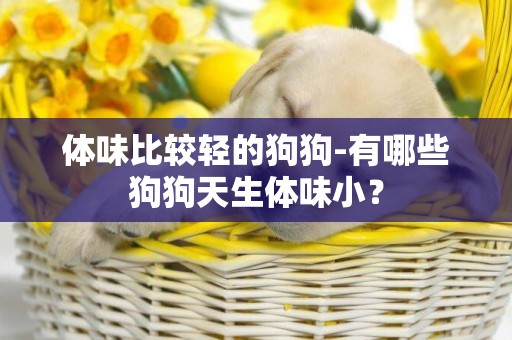 體味比較輕的狗狗-有哪些狗狗天生體味小？