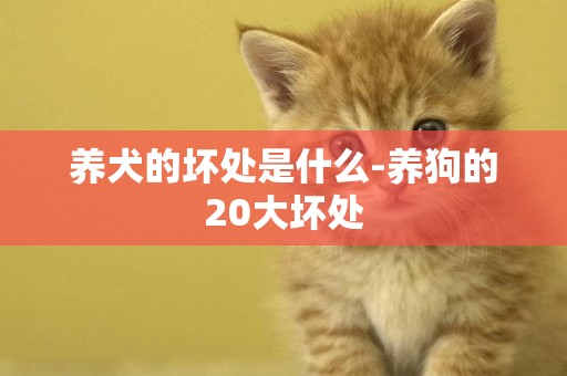 養犬的壞處是什么-養狗的20大壞處