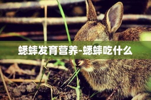蟋蟀發育營養-蟋蟀吃什么