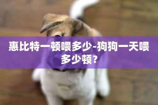 惠比特一頓喂多少-狗狗一天喂多少頓？
