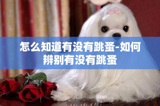 怎么知道有沒有跳蚤-如何辨別有沒有跳蚤