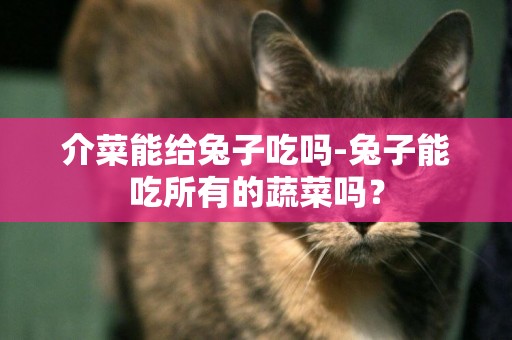 介菜能給兔子吃嗎-兔子能吃所有的蔬菜嗎？