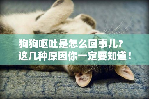 狗狗嘔吐是怎么回事兒？ 這幾種原因你一定要知道！