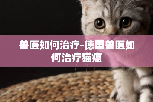 獸醫如何治療-德國獸醫如何治療貓瘟