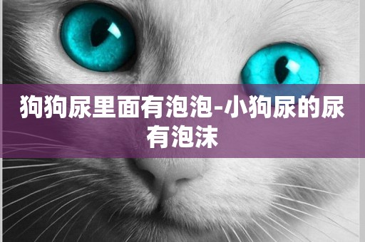 狗狗尿里面有泡泡-小狗尿的尿有泡沫