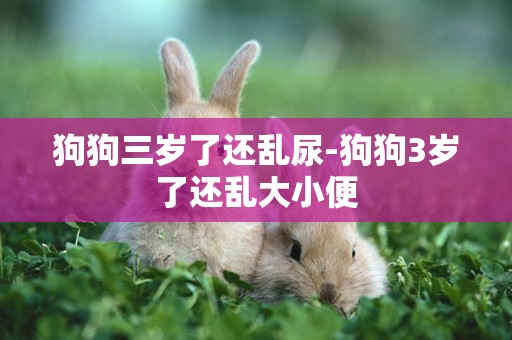 狗狗三歲了還亂尿-狗狗3歲了還亂大小便