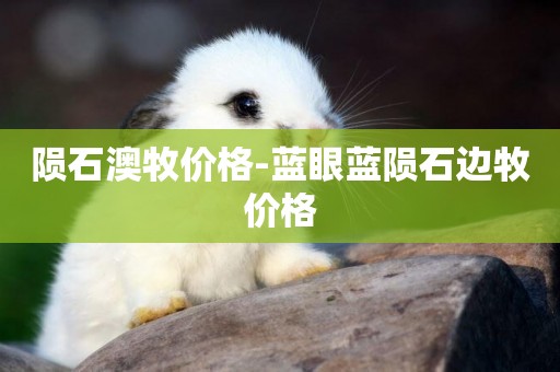 隕石澳牧價格-藍眼藍隕石邊牧價格