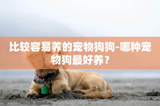 比較容易養的寵物狗狗-哪種寵物狗最好養？