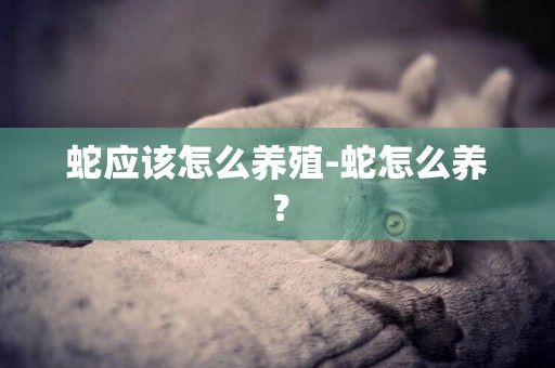 蛇應該怎么養殖-蛇怎么養？