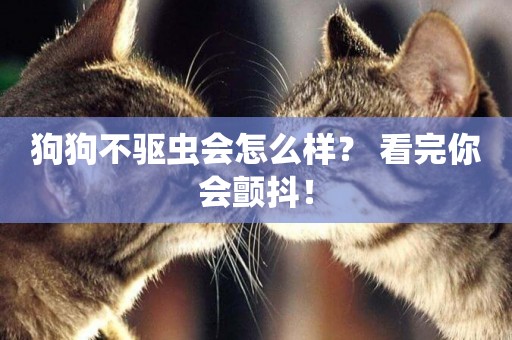 狗狗不驅蟲會怎么樣？ 看完你會顫抖！