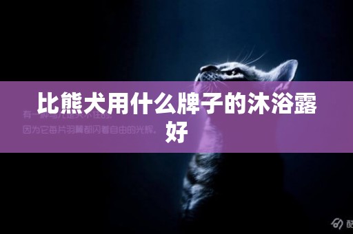 比熊犬用什么牌子的沐浴露好
