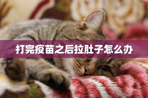 打完疫苗之后拉肚子怎么辦
