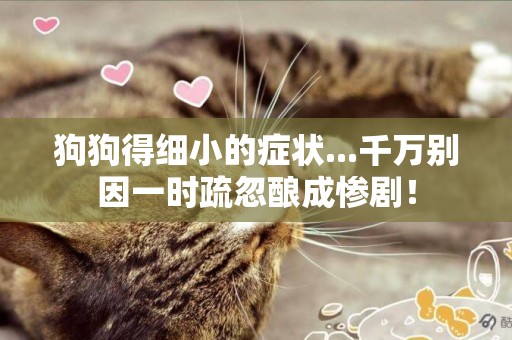 狗狗得細小的癥狀...千萬別因一時疏忽釀成慘劇！