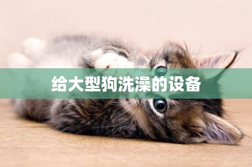 給大型狗洗澡的設備