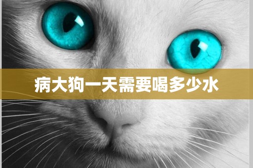 病大狗一天需要喝多少水