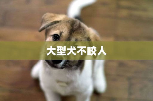 大型犬不咬人