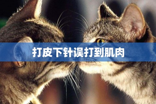 打皮下針誤打到肌肉
