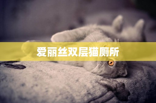 愛麗絲雙層貓廁所