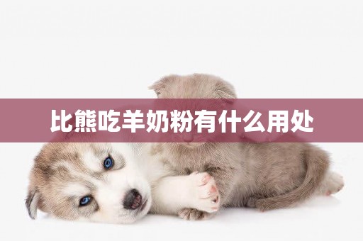 比熊吃羊奶粉有什么用處