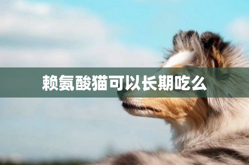 賴氨酸貓可以長期吃么