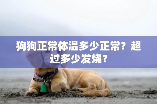 狗狗正常體溫多少正常？超過多少發燒？