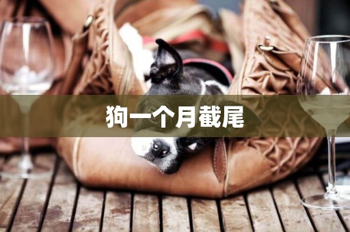 狗一個月截尾