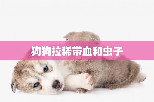 狗狗拉稀帶血和蟲子