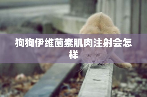 狗狗伊維菌素肌肉注射會怎樣