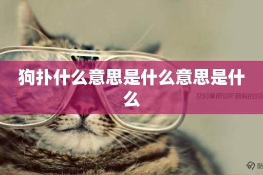 狗撲什么意思是什么意思是什么