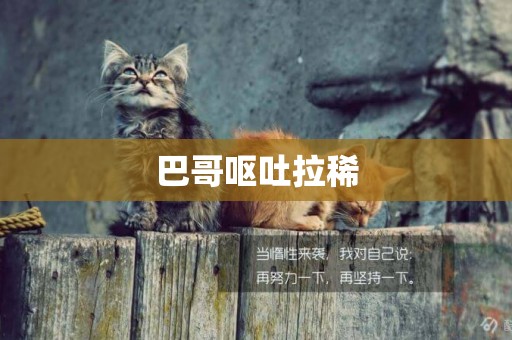 巴哥嘔吐拉稀