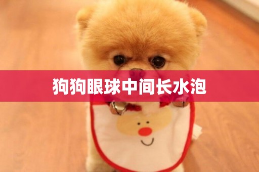 狗狗眼球中間長水泡