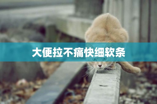 大便拉不痛快細軟條