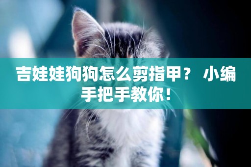 吉娃娃狗狗怎么剪指甲？ 小編手把手教你！