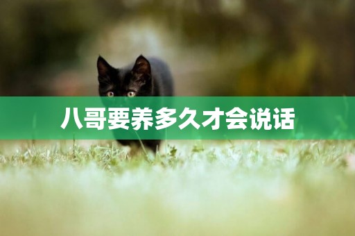 八哥要養多久才會說話