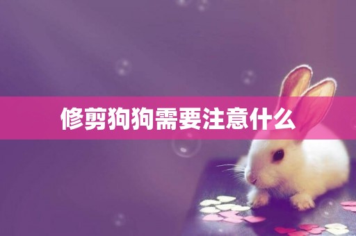 修剪狗狗需要注意什么