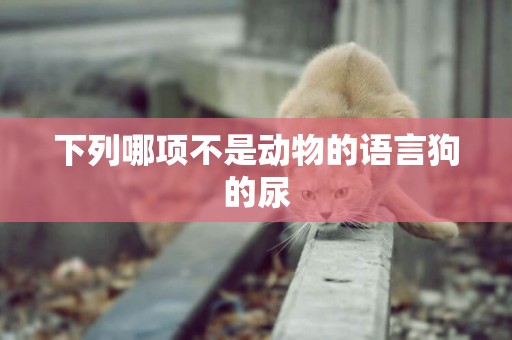 下列哪項不是動物的語言狗的尿