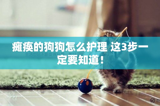 癱瘓的狗狗怎么護理 這3步一定要知道！