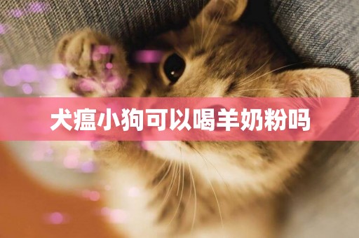 犬瘟小狗可以喝羊奶粉嗎