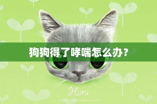狗狗得了哮喘怎么辦？