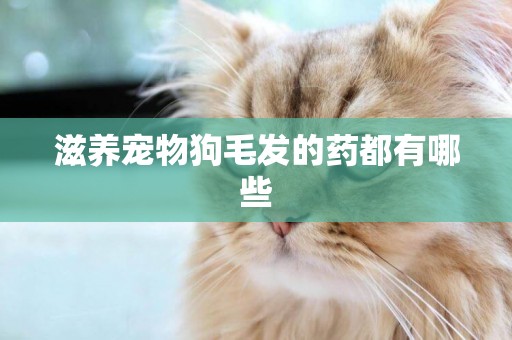 滋養寵物狗毛發的藥都有哪些