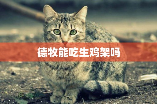 德牧能吃生雞架嗎
