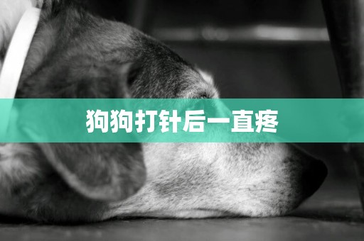 狗狗打針后一直疼