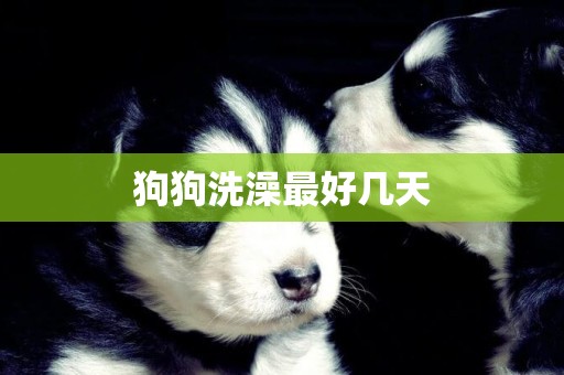 狗狗洗澡最好幾天