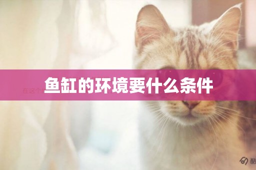 魚缸的環境要什么條件