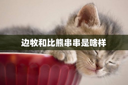 邊牧和比熊串串是啥樣
