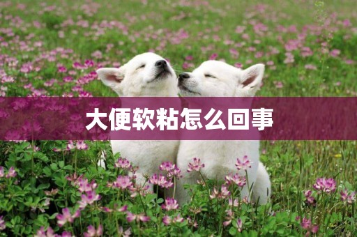 大便軟粘怎么回事