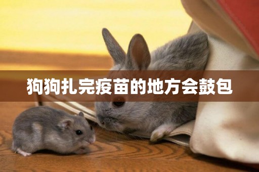狗狗扎完疫苗的地方會鼓包
