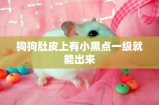 狗狗肚皮上有小黑點一級就能出來