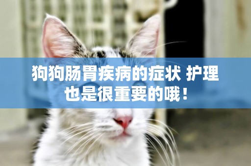 狗狗腸胃疾病的癥狀 護理也是很重要的哦！